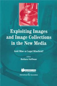 Exploiting Images and Image Collections in the New Media