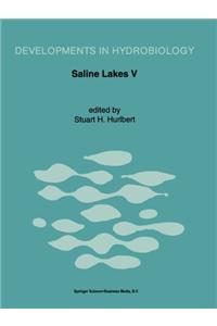 Saline Lakes V