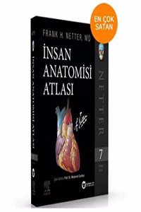 Insan Anatomisi Atlasi
