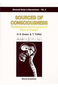 Sources of Consciousness: The Biophysical and Computational Basis of Thought