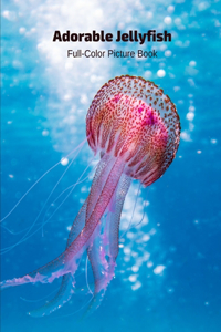 Adorable Jellyfish Full-Color Picture Book