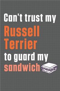 Can't trust my Russell Terrier to guard my sandwich