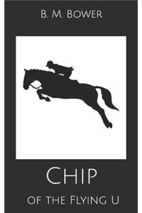 Chip