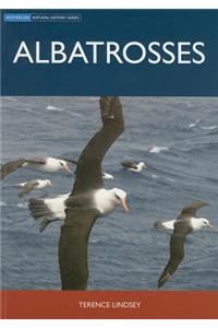 Albatrosses