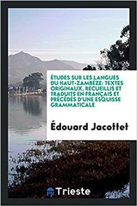 ï¿½tudes sur les langues du Haut-Zambï¿½ze: textes originaux, recueillis et traduits en franï¿½ais et prï¿½cï¿½dï¿½s d'une esquisse grammaticale
