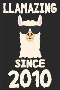 Llamazing Since 2010