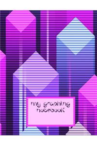 My Graphing Notebook