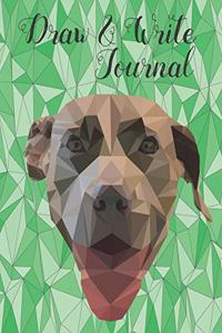 Draw & Write Journal