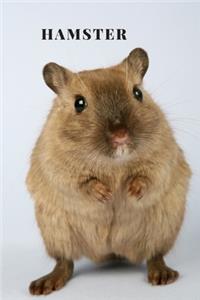 Hamster