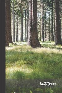 last trees