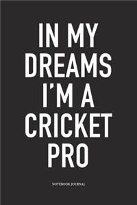 In My Dreams I'm a Cricket Pro