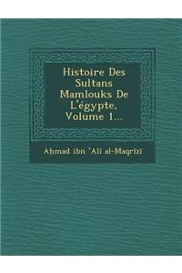 Histoire Des Sultans Mamlouks De L'égypte, Volume 1...
