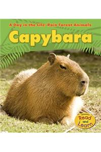 Day in the Life Rain Forest Animals Capybara