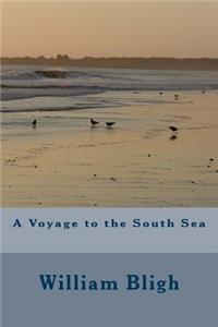 A Voyage to the South Sea