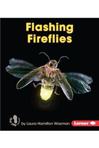 Flashing Fireflies