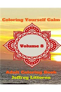 Coloring Yourself Calm, Volume 8