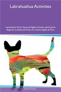 Labrahuahua Activities Labrahuahua Tricks, Games & Agility Includes