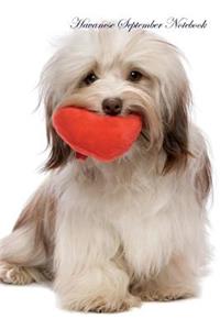 Havanese September Notebook Havanese Record, Log, Diary, Special Memories, To Do List, Academic Notepad, Scrapbook & More