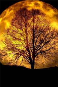 Tree Silhouetted Against a Full Moon Journal