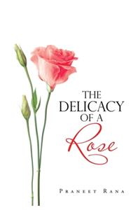 The Delicacy of a Rose