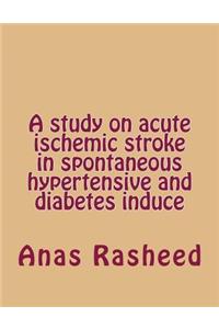 A Study on Acute Ischemic Stroke in Spontaneous Hypertensive and Diabetes Induce