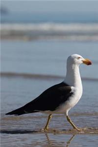 Seagull Wading in the Surf on the Beach Journal