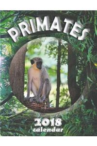 Primates 2018 Calendar