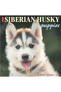 Just Siberian Husky Puppies 2020 Wall Calendar (Dog Breed Calendar)