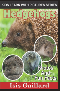 Hedgehogs