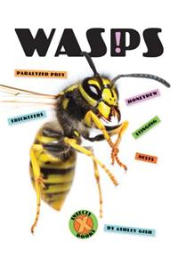 Wasps