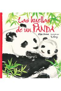 Las Huellas de Un Panda