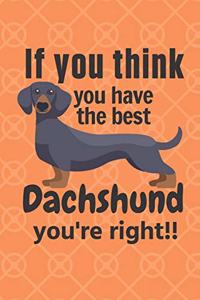 If you think you have the best Dachshund you're right!!