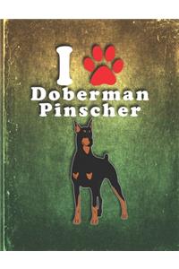 Doberman Pinscher
