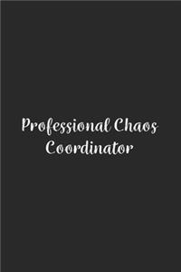 Professional Chaos Coordinator.