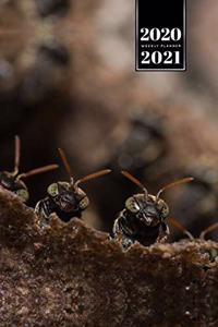 Ant Insect Myrmecology Week Planner Weekly Organizer Calendar 2020 / 2021 - Deep Eyes