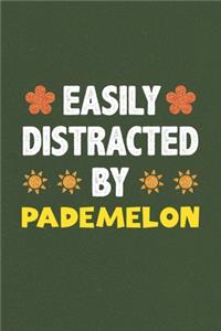 Easily Distracted By Pademelon