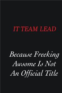 IT team lead Because freeking Awsome is not an official title