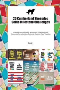 20 Cumberland Sheepdog Selfie Milestone Challenges