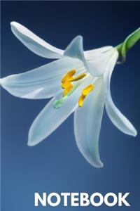 flower notebook journal