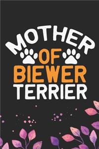 Mother Of Biewer Terrier