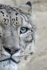 Snow Leopard Notebook