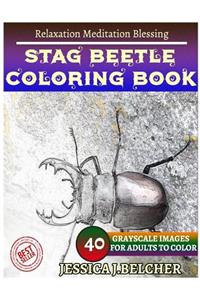 STAG BEETLE Coloring book for Adults Relaxation Meditation Blessing