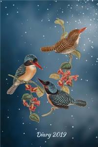 Diary 2019