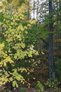 2019 Weekly Planner Autumn Yellow Leaves 134 Pages