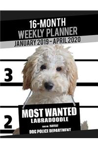 2019-2020 Weekly Planner - Most Wanted Labradoodle
