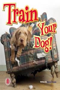 Train Your Dog