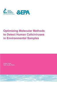 Optimizing Molecular Methods to Detect Human Caliciviruses in Environmental Samples