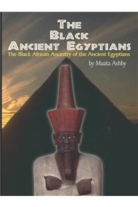 Black Ancient Egyptians