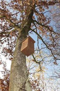 Nest Boxes Notebook