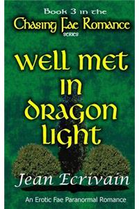 Well Met in Dragon Light